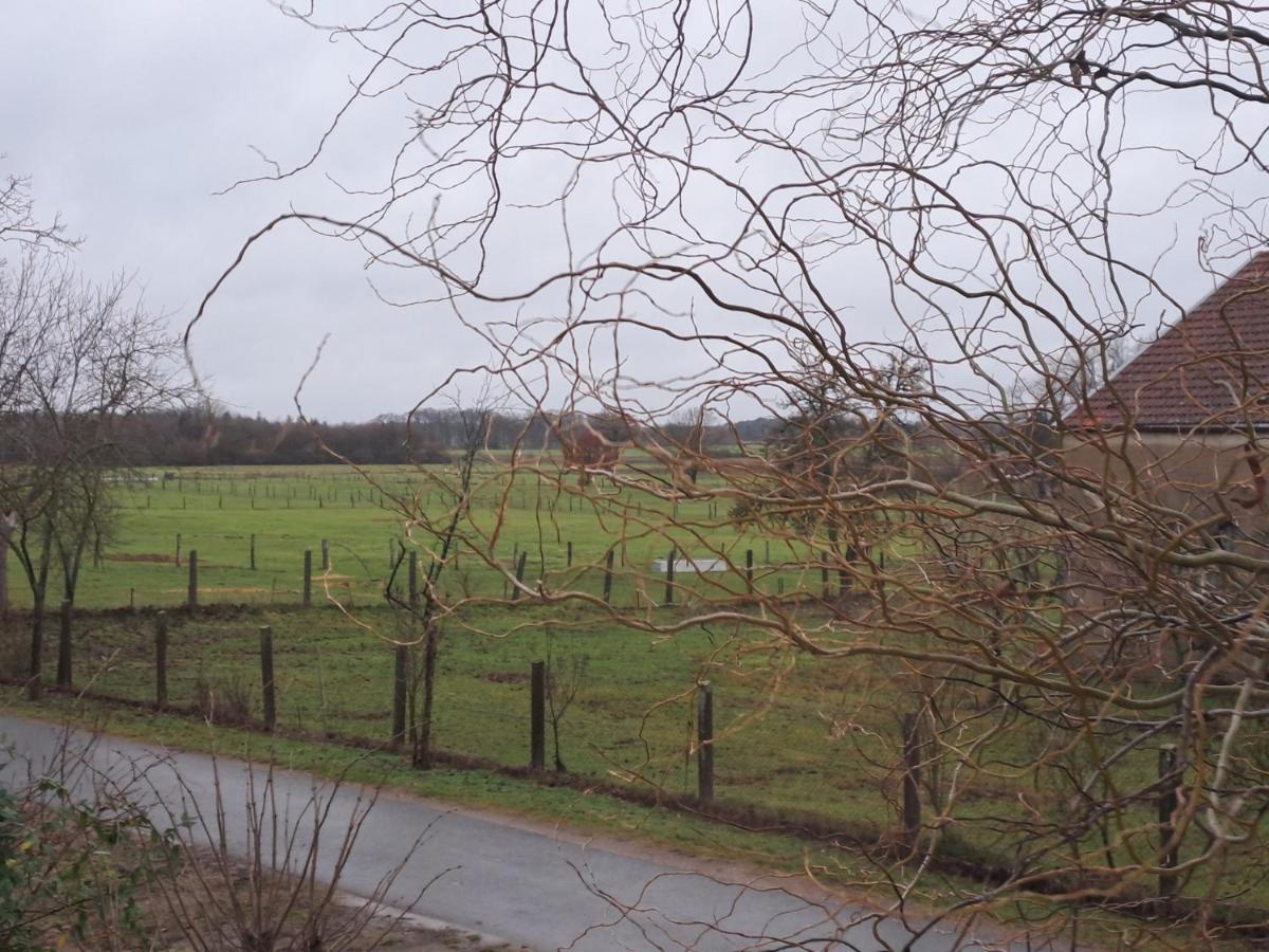 Gnaden- Und Ferienhof Saale Wittgenstein In The Middle Of Gar Nix Bismark Exterior foto